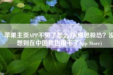 苹果主页APP不见了怎么办(细思极恐？没想到在中国我也用不了App Store)