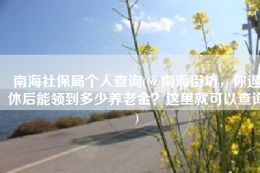 南海社保局个人查询(@南海街坊，你退休后能领到多少养老金？这里就可以查询)
