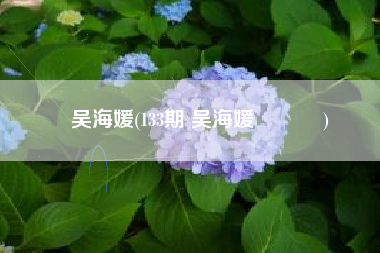 吴海媛(133期 吴海媛 ​​​)