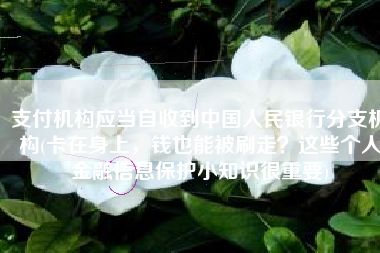 支付机构应当自收到中国人民银行分支机构(卡在身上，钱也能被刷走？这些个人金融信息保护小知识很重要)