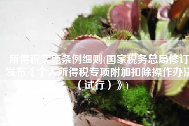 所得税实施条例细则(国家税务总局修订发布《个人所得税专项附加扣除操作办法（试行）》)