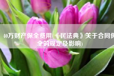 40万财产保全费用(《民法典》关于合同保全的规定及影响)