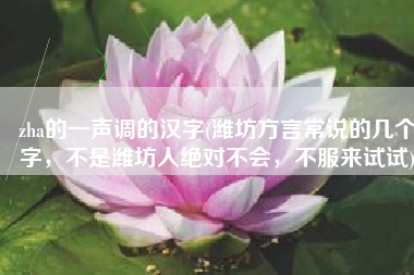 zha的一声调的汉字(潍坊方言常说的几个字，不是潍坊人绝对不会，不服来试试)