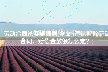 劳动合同法实施细则(全文)(违法解除劳动合同，赔偿金数额怎么定？)