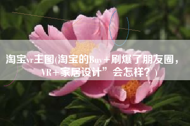 淘宝vr主图(淘宝的Buy+刷爆了朋友圈，“VR+家居设计”会怎样？)