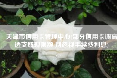 天津市信用卡管理中心(部分信用卡调高透支取现限额 别忽视手续费利息)