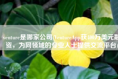 venture是哪家公司(VentureApp获400万美元融资，为同领域的专业人士提供交流平台)