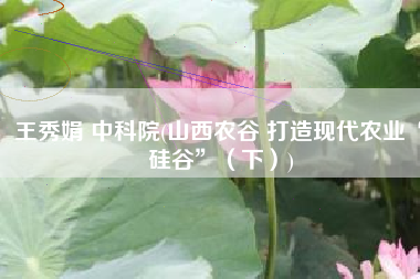 王秀娟 中科院(山西农谷 打造现代农业“硅谷”（下）)