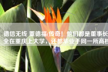 德信无线 董德福(传奇！他们都是董事长，全在重庆上大学，还都毕业于同一所高校！)