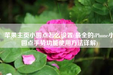 苹果主页小圆点怎么设置(最全的iPhone小圆点手势功能使用方法详解)