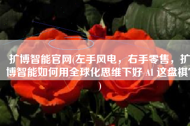 扩博智能官网(左手风电，右手零售，扩博智能如何用全球化思维下好 AI 这盘棋？)