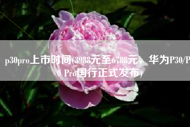 p30pro上市时间(3988元至6788元，华为P30/P30 Pro国行正式发布)