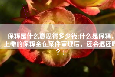 保释是什么意思得多少钱(什么是保释，上缴的保释金在案件审理后，还会退还吗？)