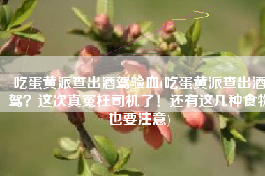 吃蛋黄派查出酒驾验血(吃蛋黄派查出酒驾？这次真冤枉司机了！还有这几种食物也要注意)