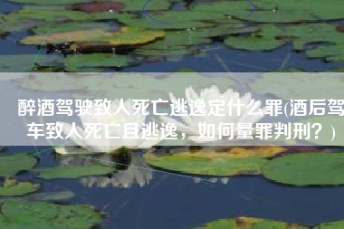 醉酒驾驶致人死亡逃逸定什么罪(酒后驾车致人死亡且逃逸，如何量罪判刑？)