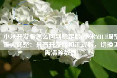 小米开发版怎么回到稳定版(小米MIUI调整重大调整：只有开发版和正式版，切换无需清除数据)