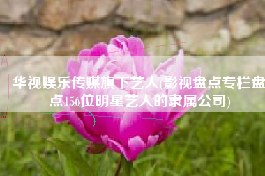 华视娱乐传媒旗下艺人(影视盘点专栏盘点156位明星艺人的隶属公司)