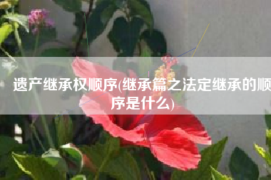 遗产继承权顺序(继承篇之法定继承的顺序是什么)