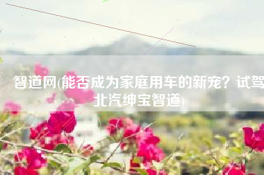 智道网(能否成为家庭用车的新宠？试驾北汽绅宝智道)