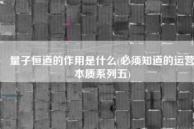 量子恒道的作用是什么(必须知道的运营本质系列五)