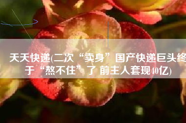 天天快递(二次“卖身”国产快递巨头终于“熬不住”了 前主人套现40亿)