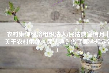 农村集体经济组织法人(民法典宣传月｜关于农村集体《民法典》做了哪些规定？)