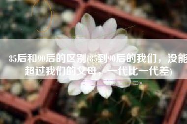 85后和90后的区别(85到90后的我们，没能超过我们的父母，一代比一代差)