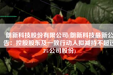 朗新科技股份有限公司(朗新科技最新公告：控股股东及一致行动人拟减持不超过3%公司股份)