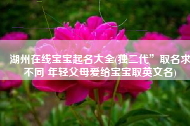 湖州在线宝宝起名大全(独二代”取名求不同 年轻父母爱给宝宝取英文名)