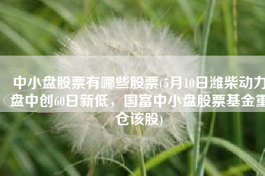 中小盘股票有哪些股票(5月10日潍柴动力盘中创60日新低，国富中小盘股票基金重仓该股)