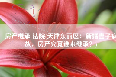 房产继承 法院(天津东丽区：新婚妻子病故，房产究竟谁来继承？)