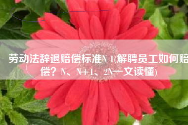 劳动法辞退赔偿标准N 1(解聘员工如何赔偿？N、N+1、2N一文读懂)
