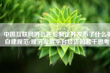 中国互联网协会先后制定并发布了什么等自律规范(规范发展平台经济的若干思考)
