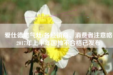 爱仕德燃气灶(各经销商、消费者注意咯！2017年上半年国抽不合格已发布)