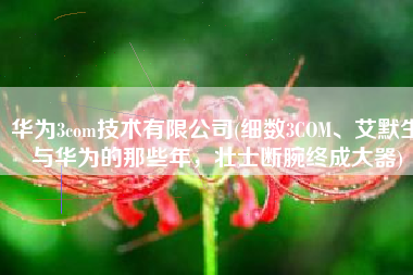 华为3com技术有限公司(细数3COM、艾默生与华为的那些年，壮士断腕终成大器)