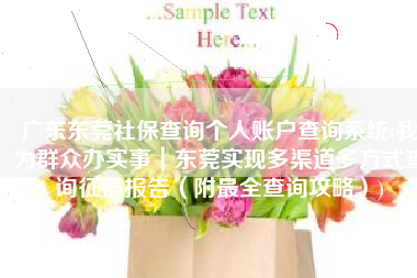 广东东莞社保查询个人账户查询系统(我为群众办实事｜东莞实现多渠道多方式查询征信报告（附最全查询攻略）)