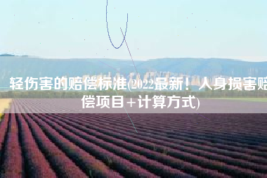 轻伤害的赔偿标准(2022最新！人身损害赔偿项目+计算方式)