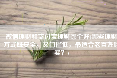 微信理财和支付宝理财哪个好(哪些理财方式既安全，又门槛低，最适合老百姓购买？)