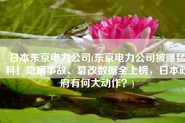 日本东京电力公司(东京电力公司被曝猛料！隐瞒事故、篡改数据全上榜，日本政府有何大动作？)