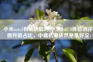 小米note3有nfc功能吗(小米Note 3体验测评：抛开屏占比，中端机里依然是条好汉)