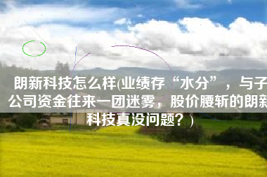 朗新科技怎么样(业绩存“水分”，与子公司资金往来一团迷雾，股价腰斩的朗新科技真没问题？)