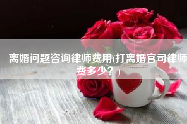 离婚问题咨询律师费用(打离婚官司律师费多少？)