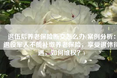 退伍后养老保险断交怎么办(案例分析：退役军人不能补缴养老保险，享受退休待遇，如何维权？)