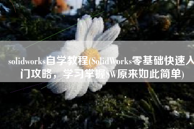 solidworks自学教程(SolidWorks零基础快速入门攻略，学习掌握SW原来如此简单)