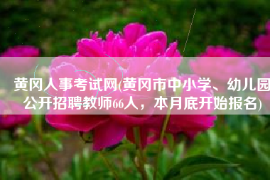 黄冈人事考试网(黄冈市中小学、幼儿园公开招聘教师66人，本月底开始报名)