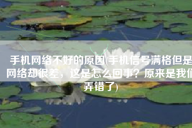 手机网络不好的原因(手机信号满格但是网络却很差，这是怎么回事？原来是我们弄错了)