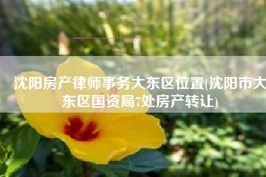 沈阳房产律师事务大东区位置(沈阳市大东区国资局7处房产转让)