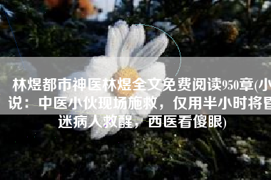 林煜都市神医林煜全文免费阅读950章(小说：中医小伙现场施救，仅用半小时将昏迷病人救醒，西医看傻眼)