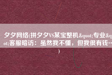 夕夕网络(拼夕夕VS某宝整机"专业"客服暗访：虽然我不懂，但我很有钱…)