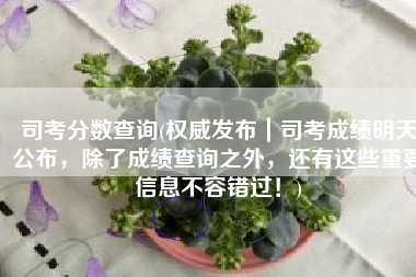 司考分数查询(权威发布｜司考成绩明天公布，除了成绩查询之外，还有这些重要信息不容错过！)